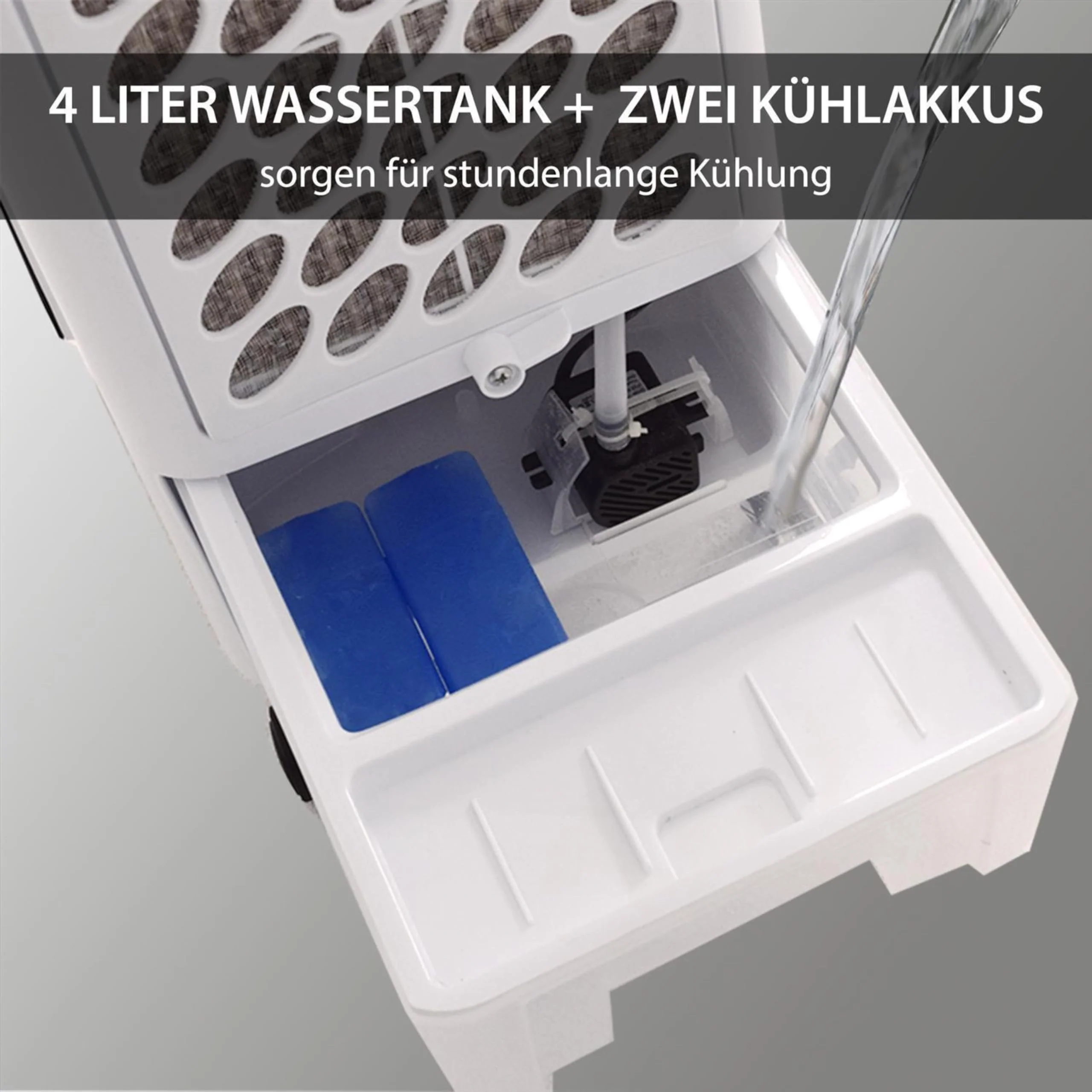 Vorschaubild 8