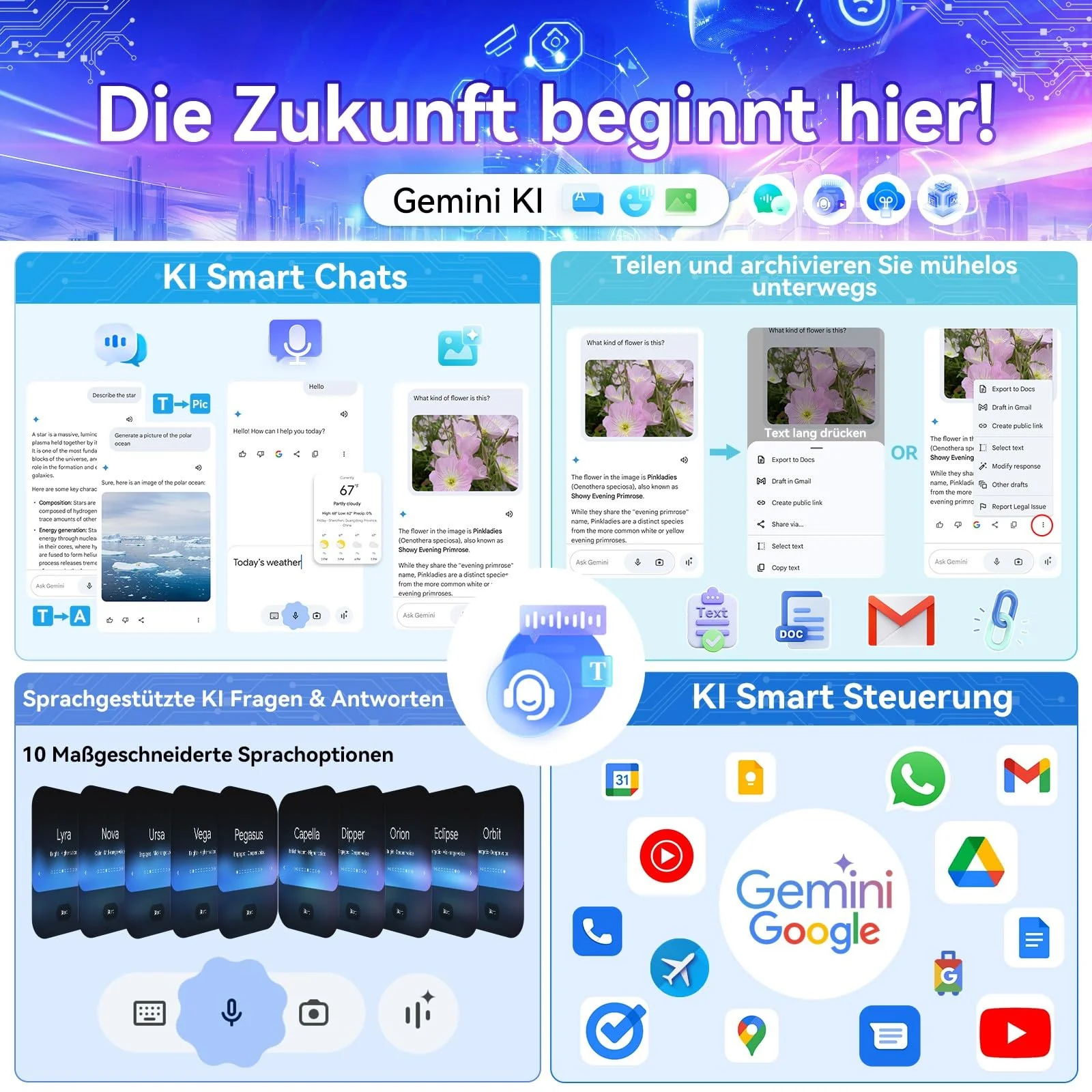 Vorschaubild 10