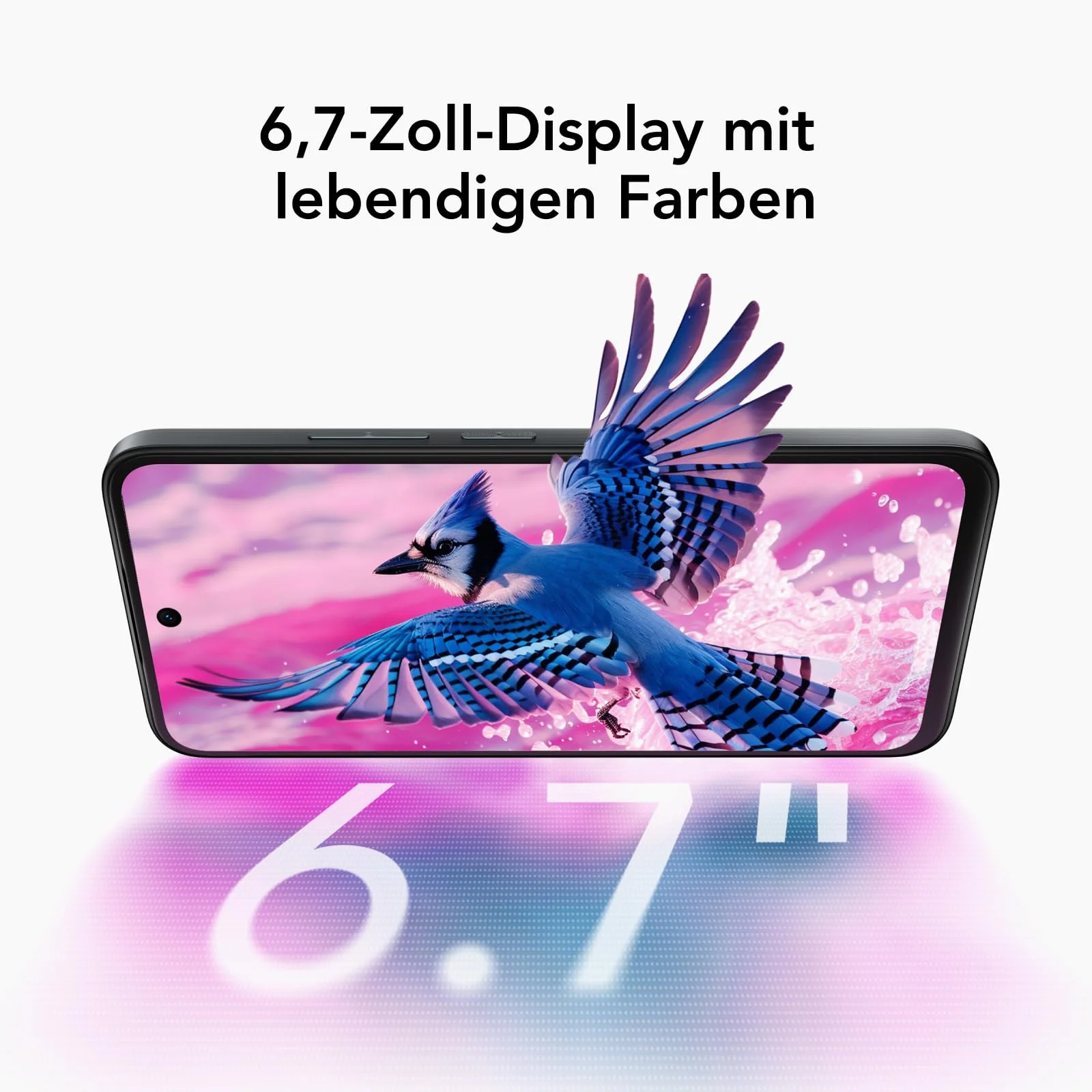 Vorschaubild 8