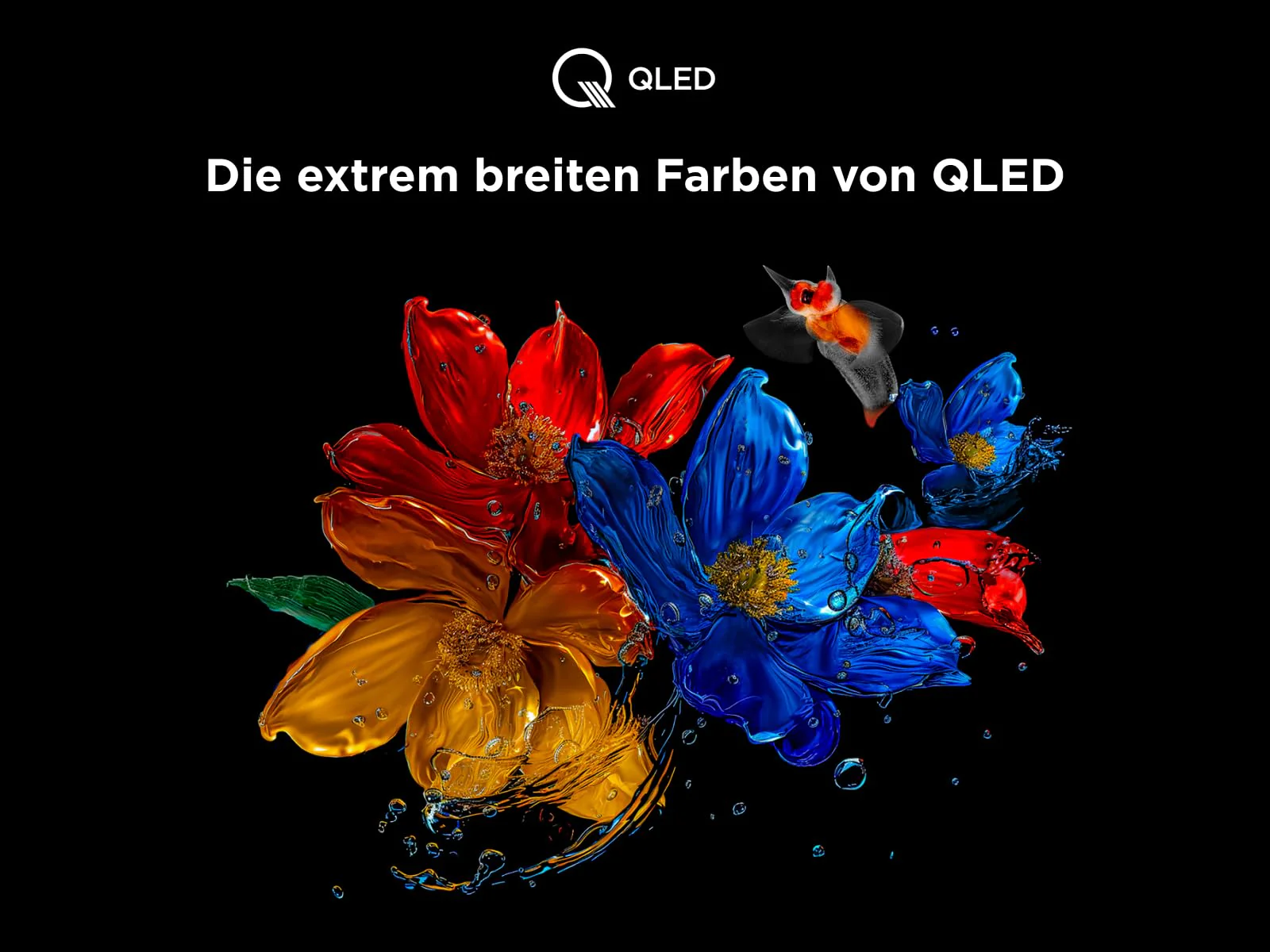 Vorschaubild 12