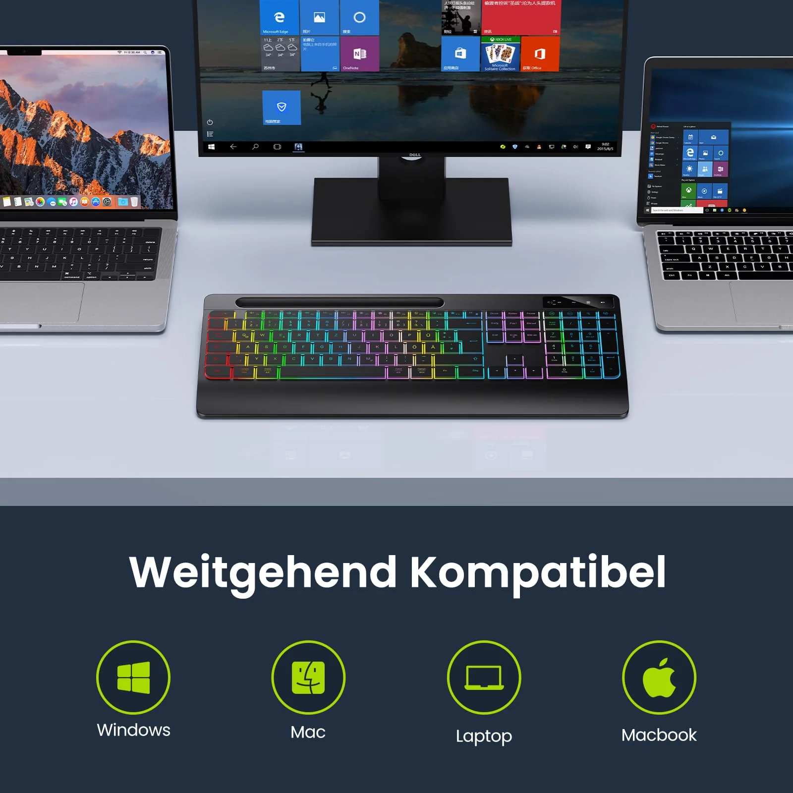 Vorschaubild 5