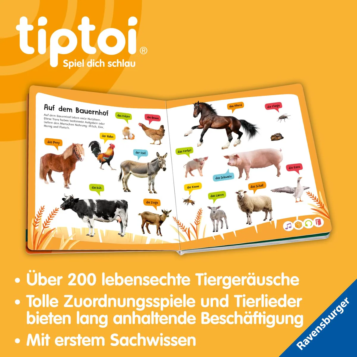 Vorschaubild 6
