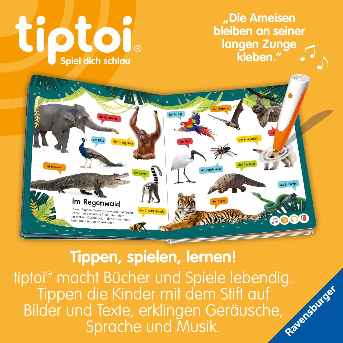 Vorschaubild 7