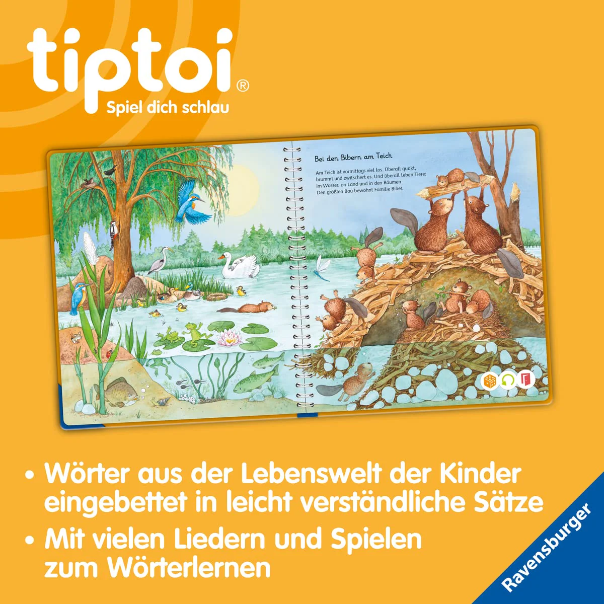 Vorschaubild 6