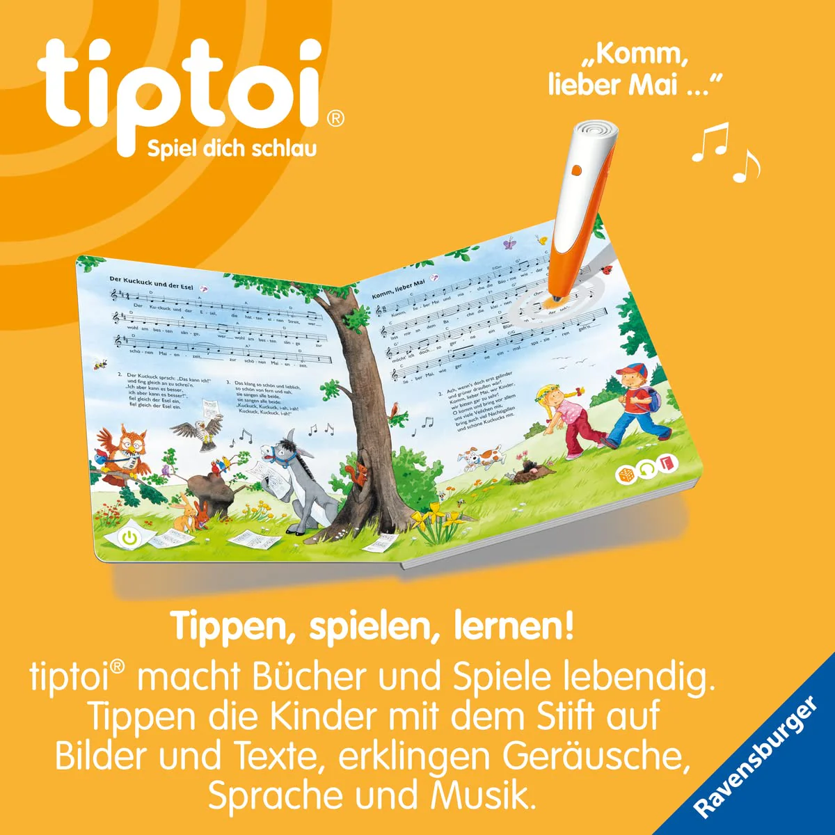 Vorschaubild 8