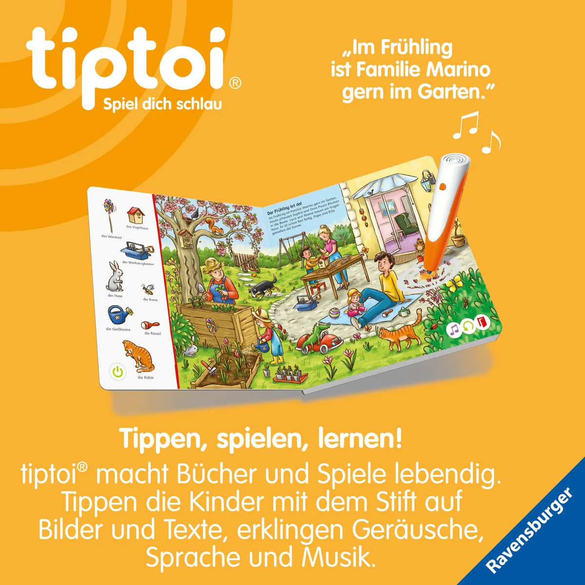 Vorschaubild 7