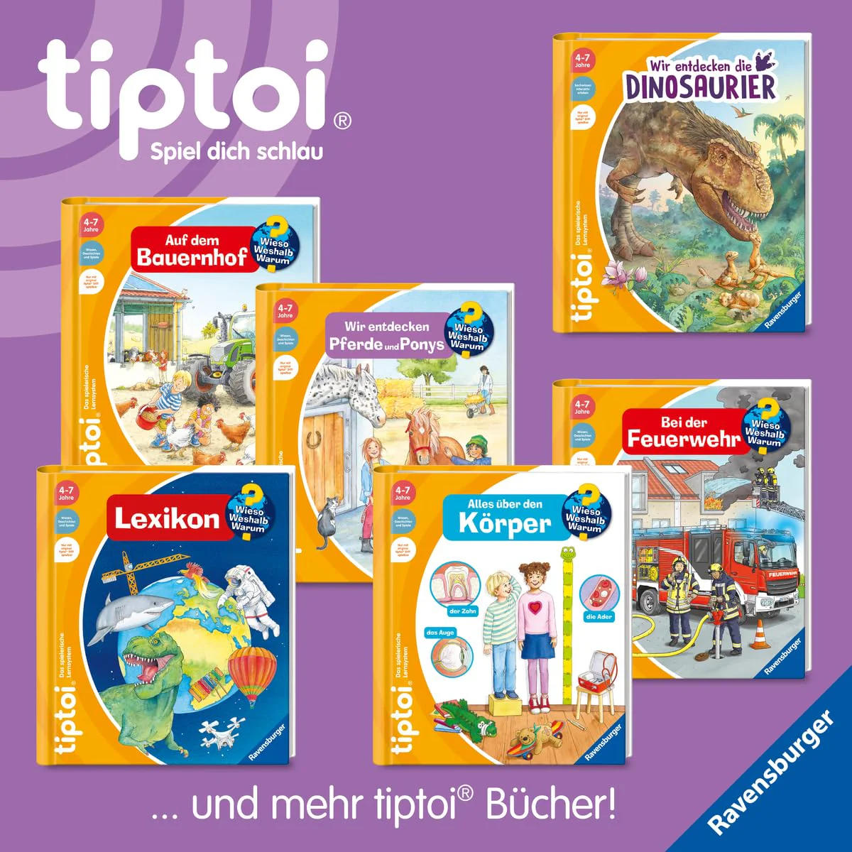 Vorschaubild 3