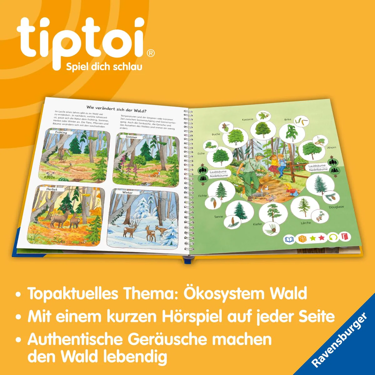 Vorschaubild 6