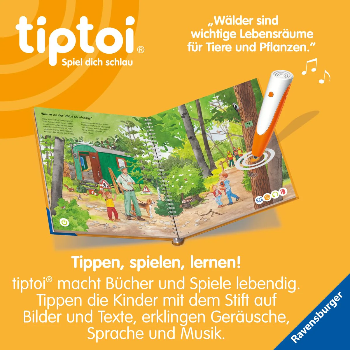 Vorschaubild 7