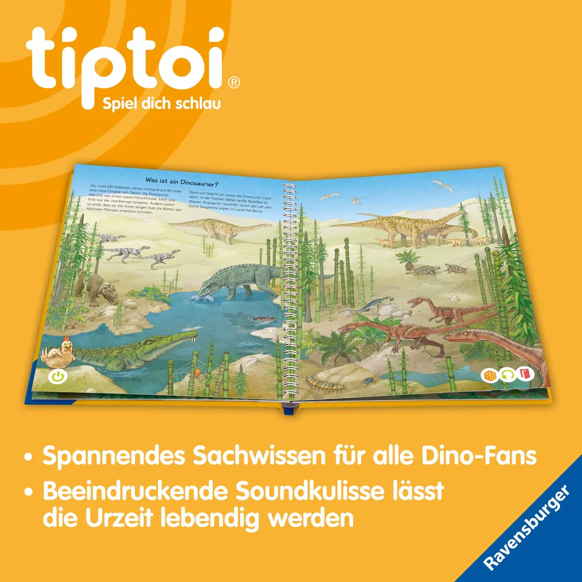 Vorschaubild 6