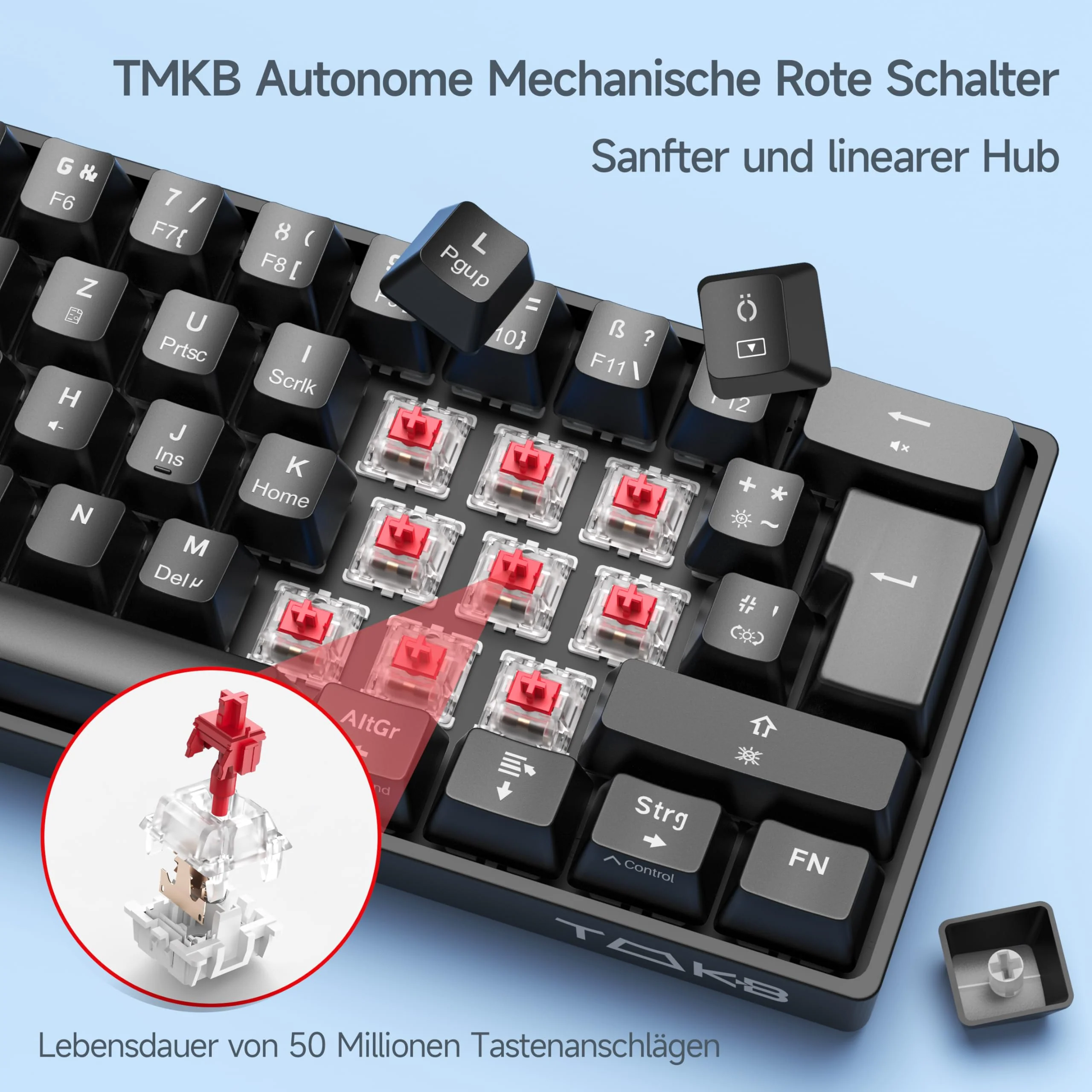 Vorschaubild 3