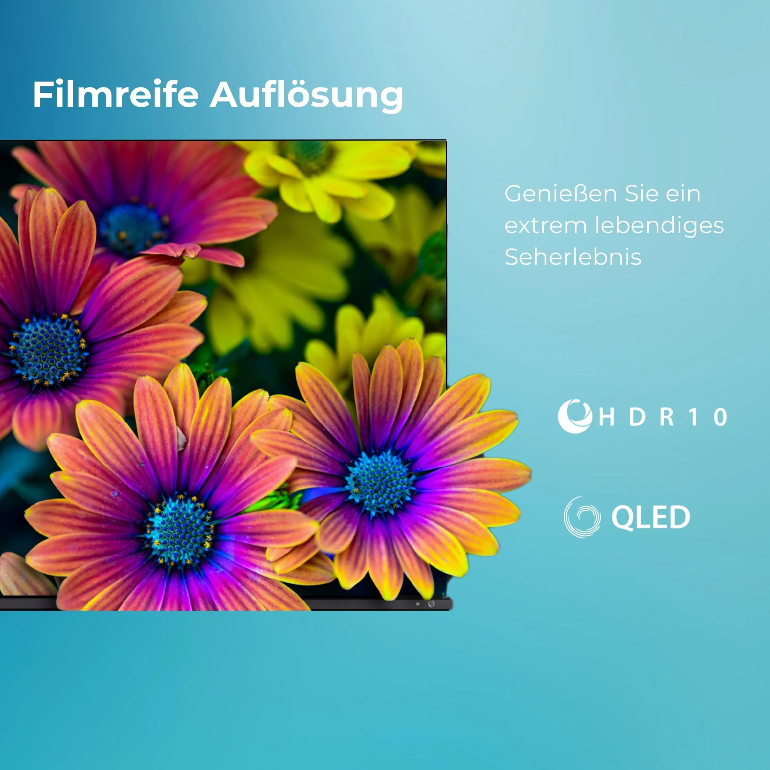 Vorschaubild 8