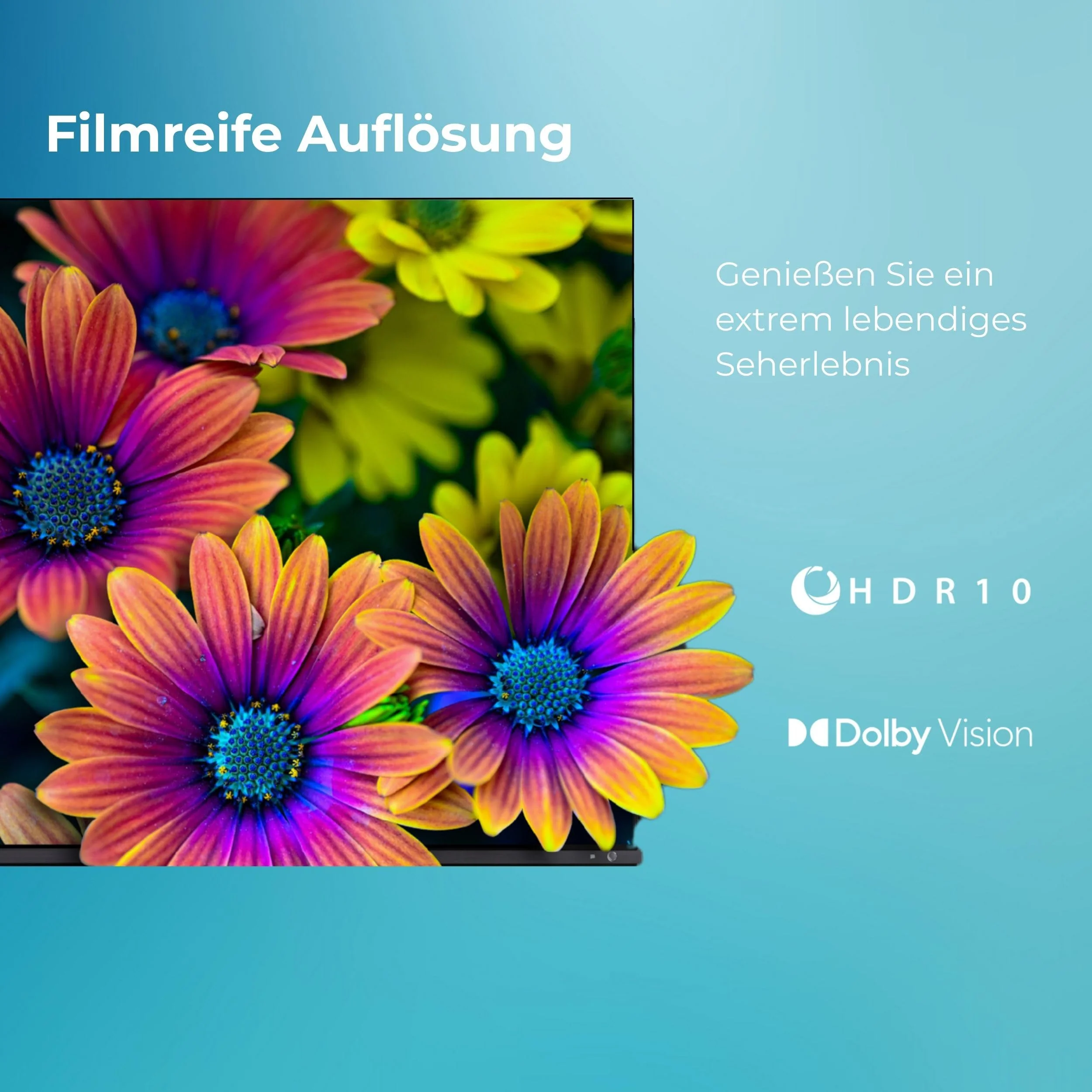 Vorschaubild 8