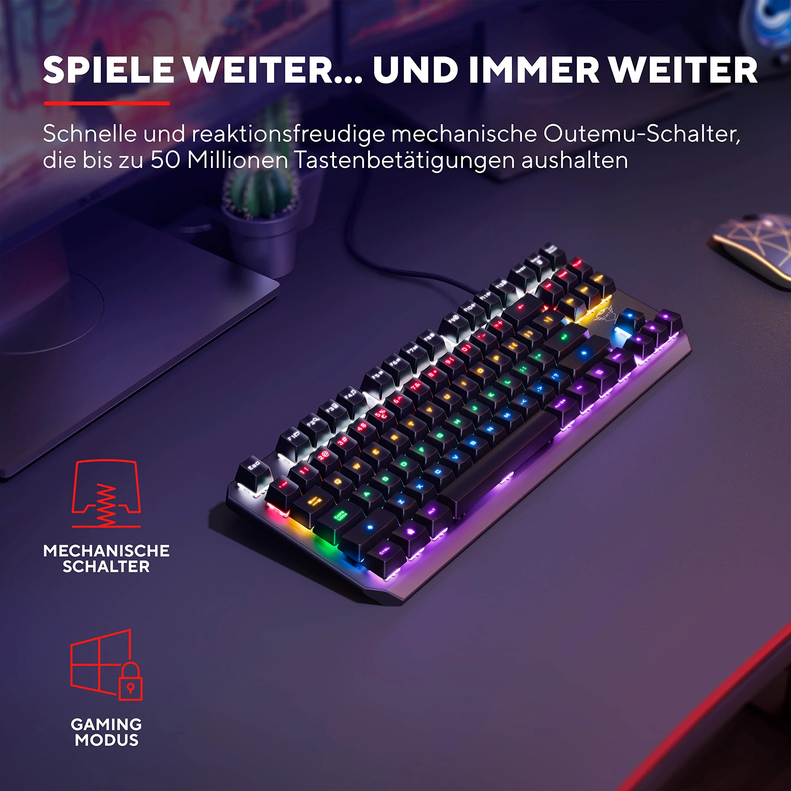 Vorschaubild 3