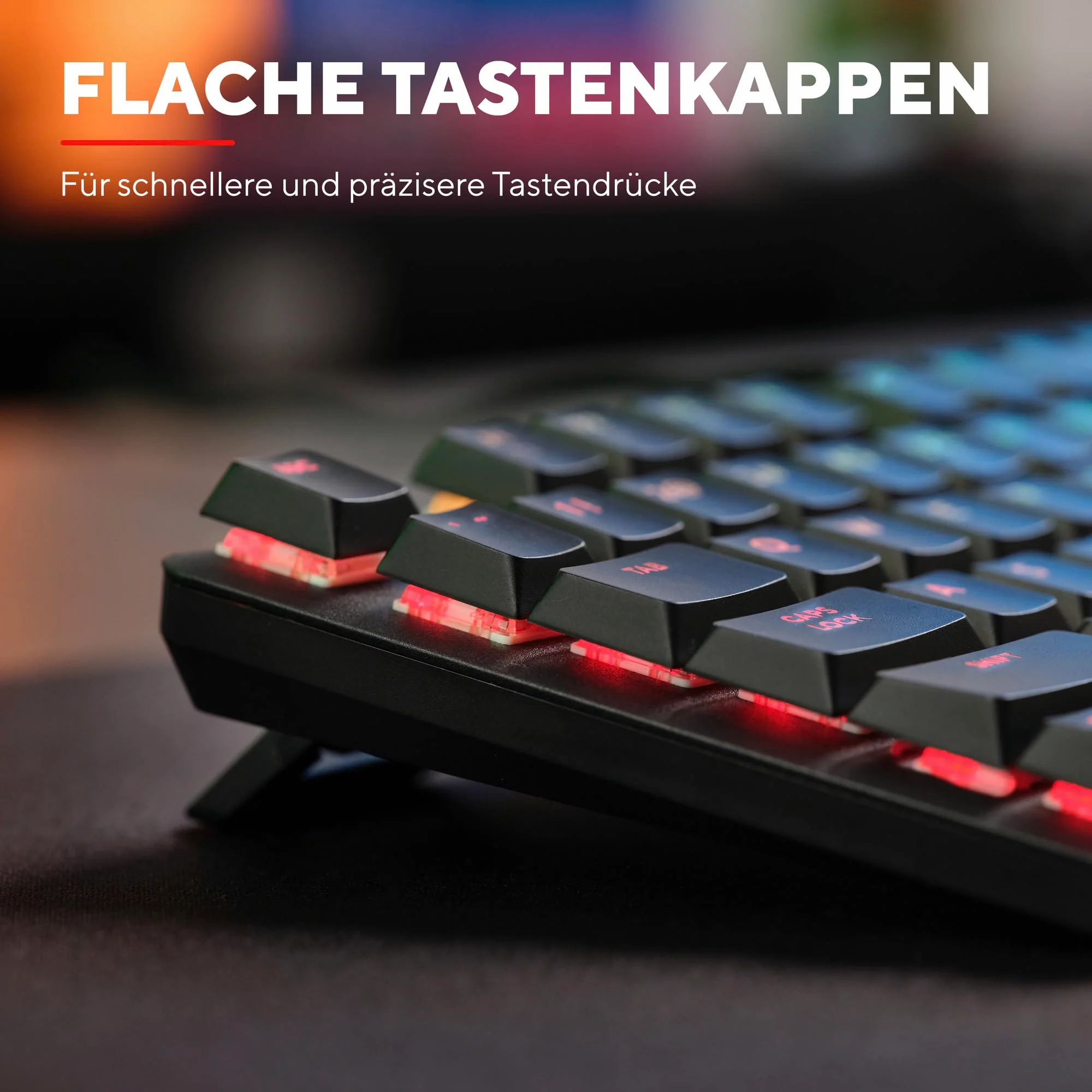 Vorschaubild 12