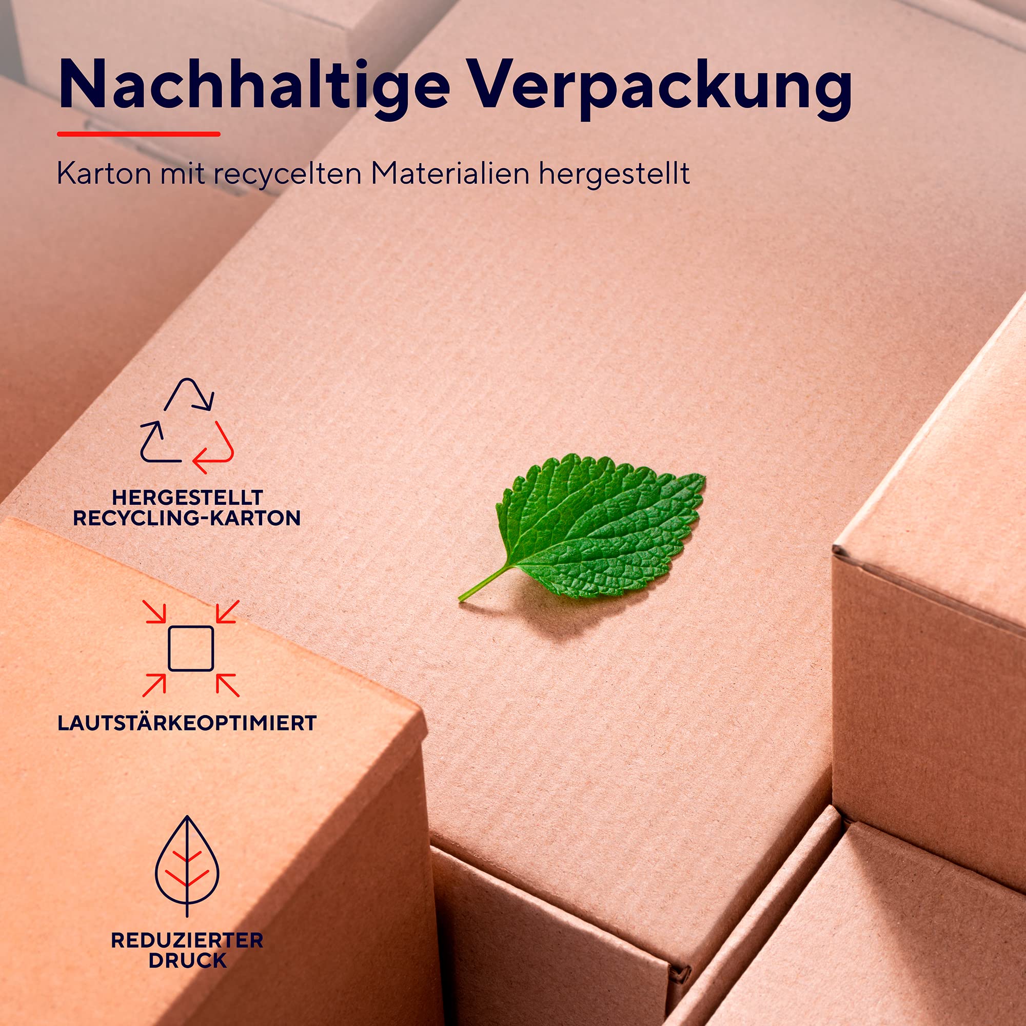 Vorschaubild 7