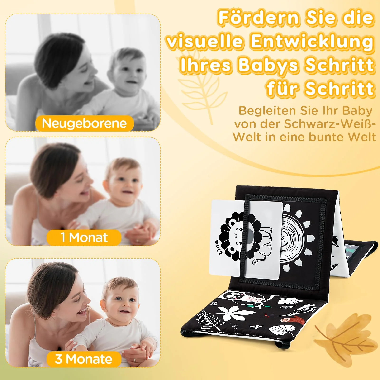 Vorschaubild 7