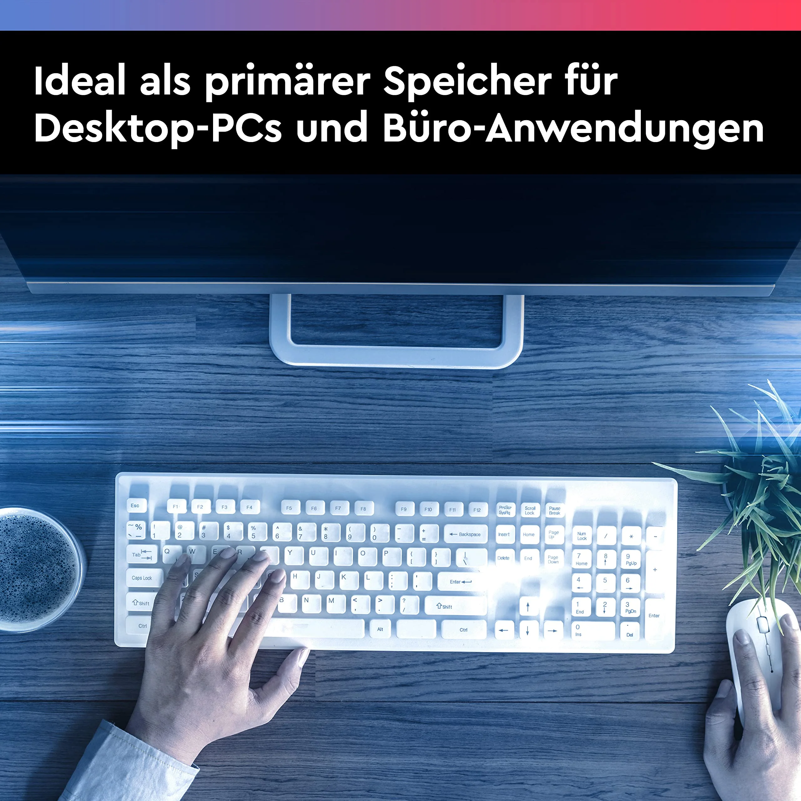 Vorschaubild 6