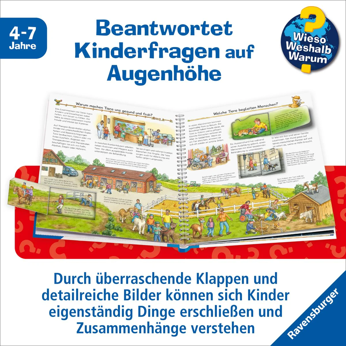 Vorschaubild 5