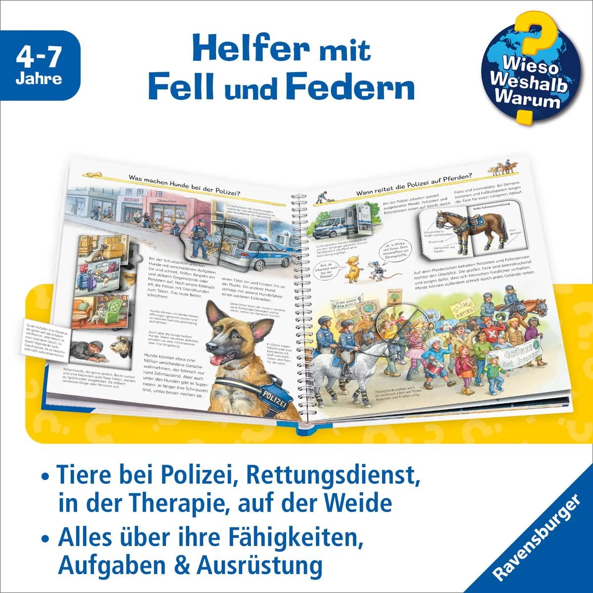 Vorschaubild 6