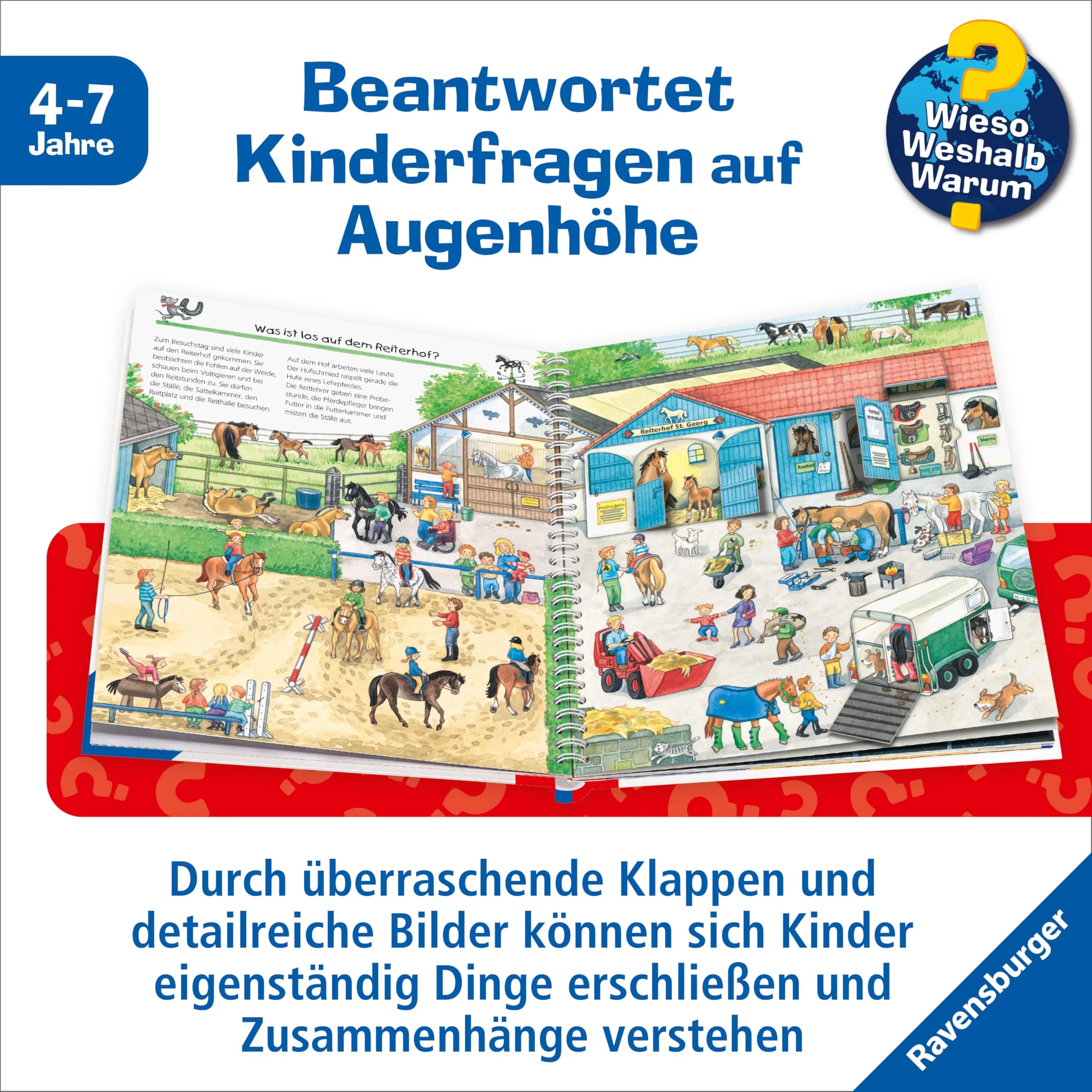 Vorschaubild 5