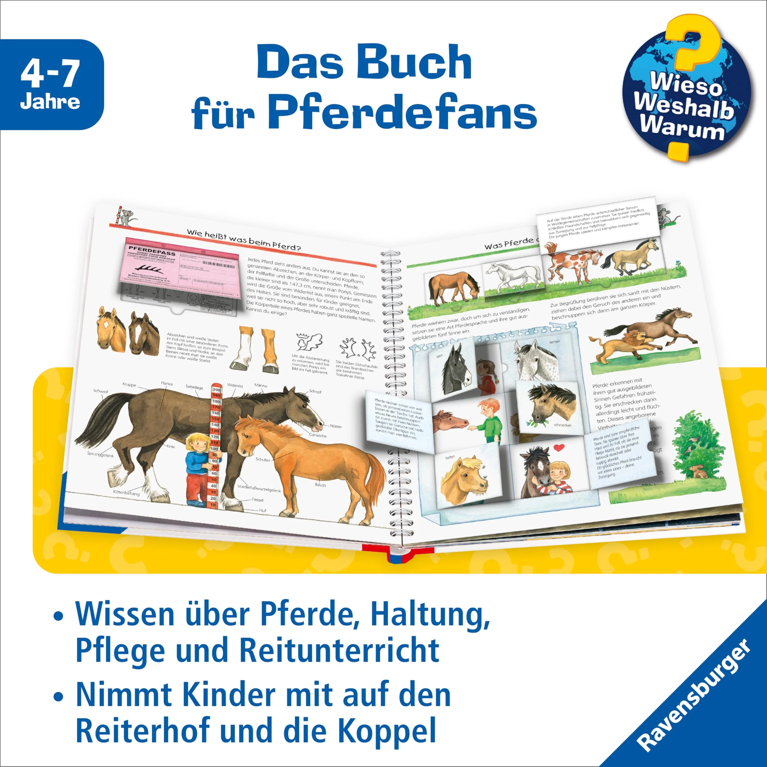 Vorschaubild 6
