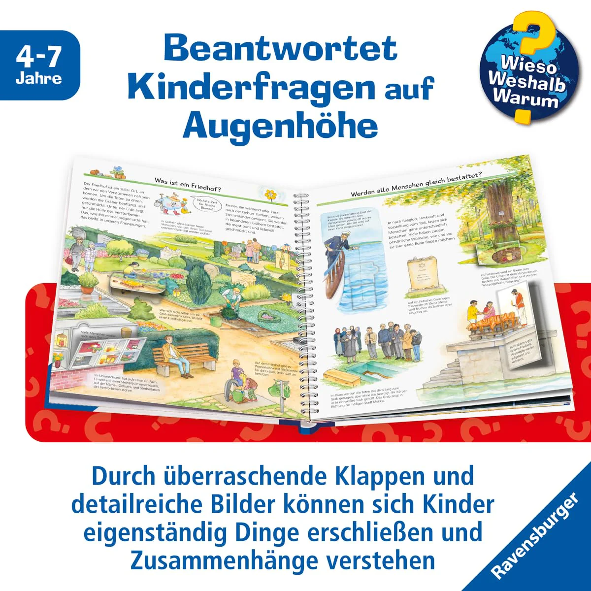 Vorschaubild 5