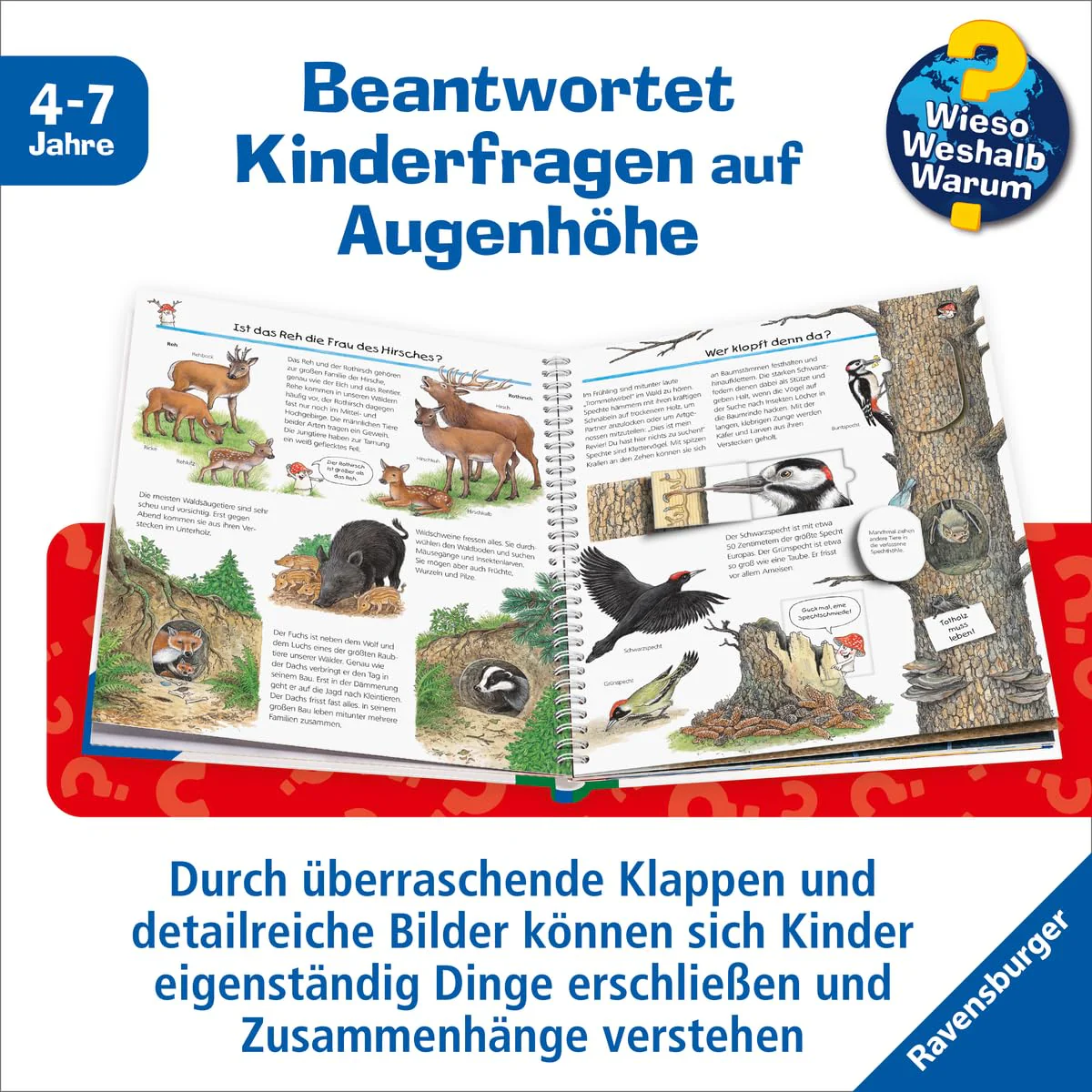 Vorschaubild 5