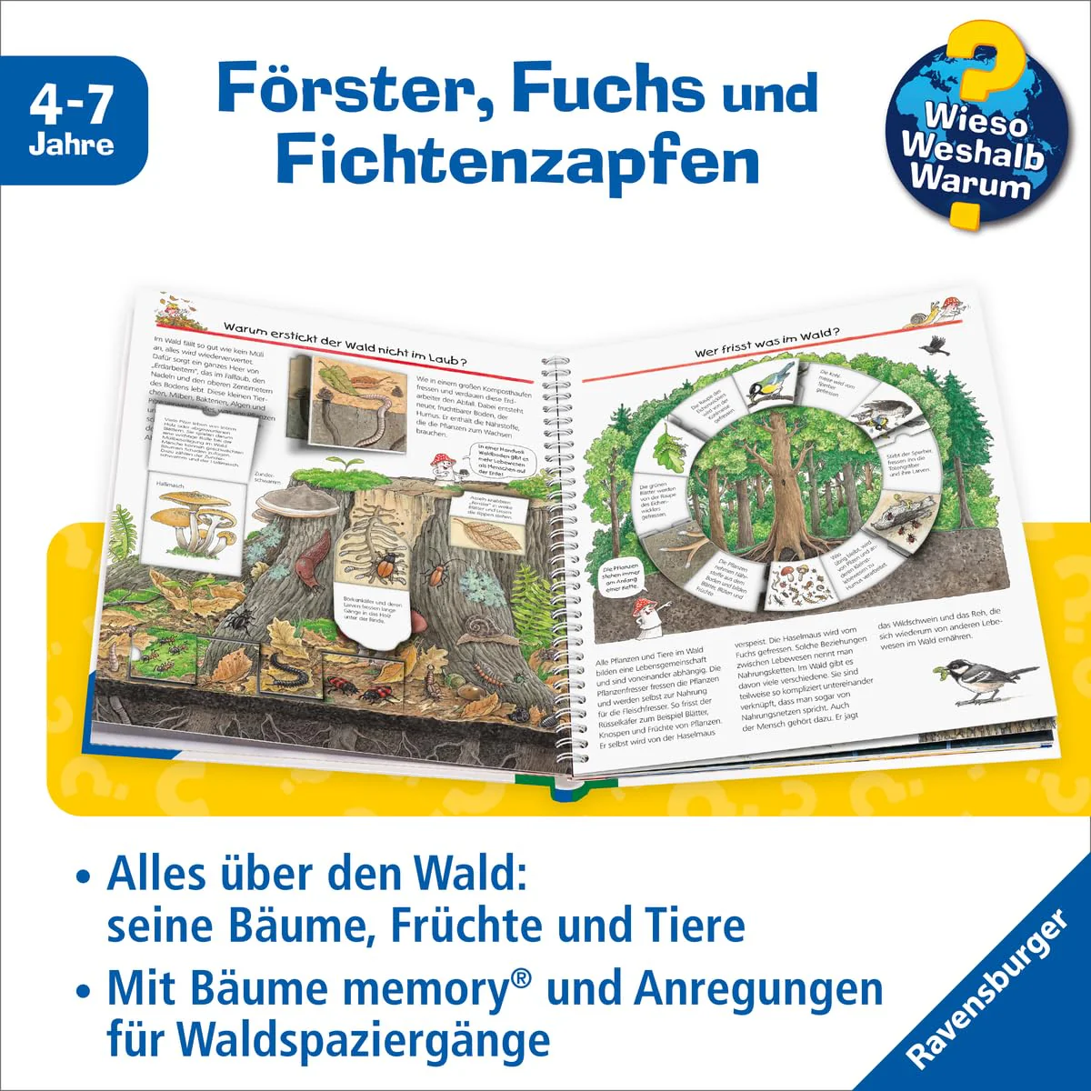 Vorschaubild 6