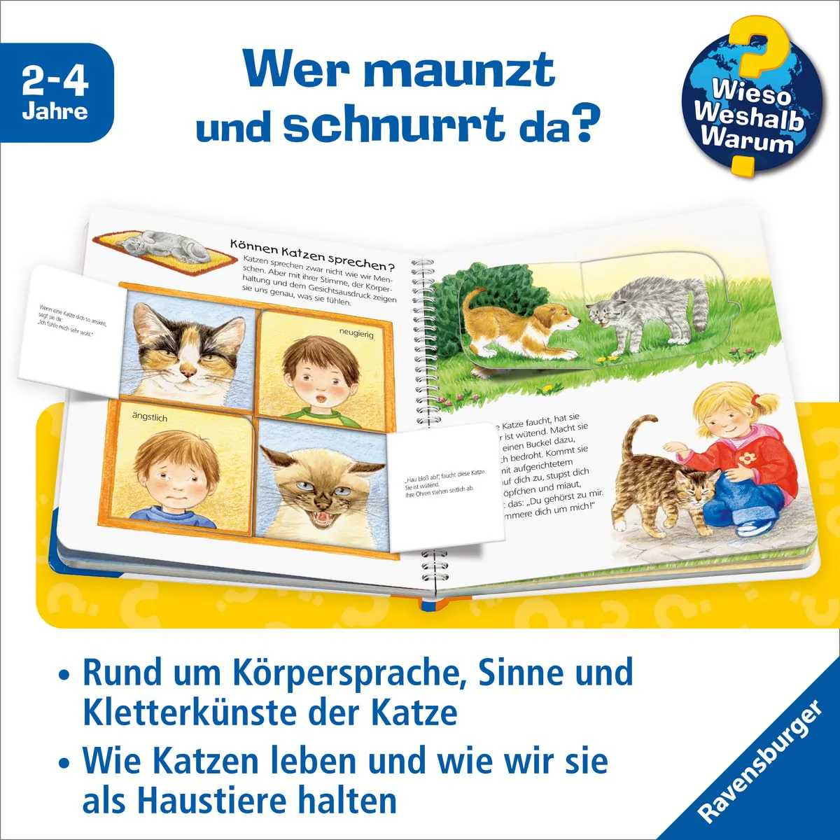 Vorschaubild 6