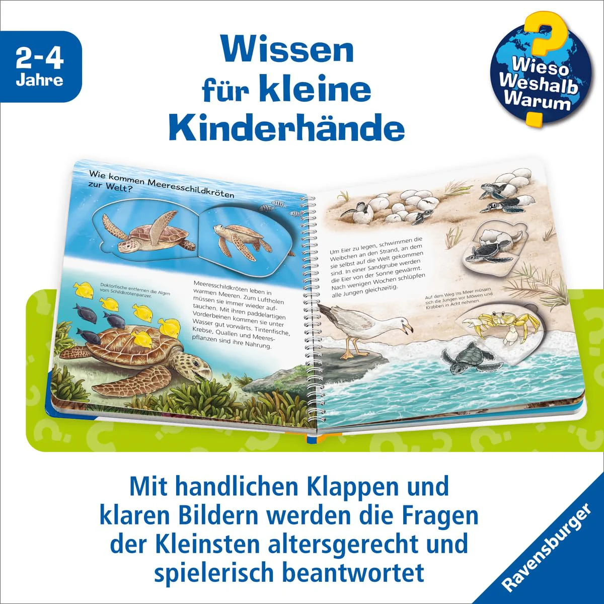 Vorschaubild 5