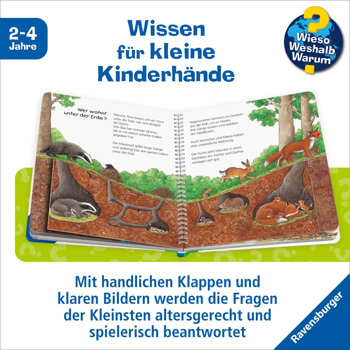 Vorschaubild 5