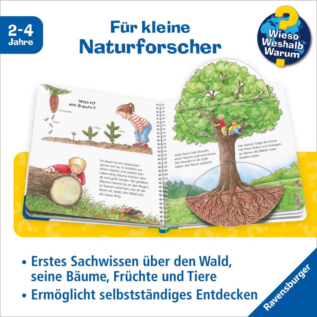 Vorschaubild 6
