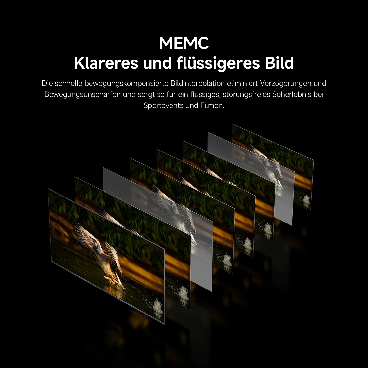 Vorschaubild 13