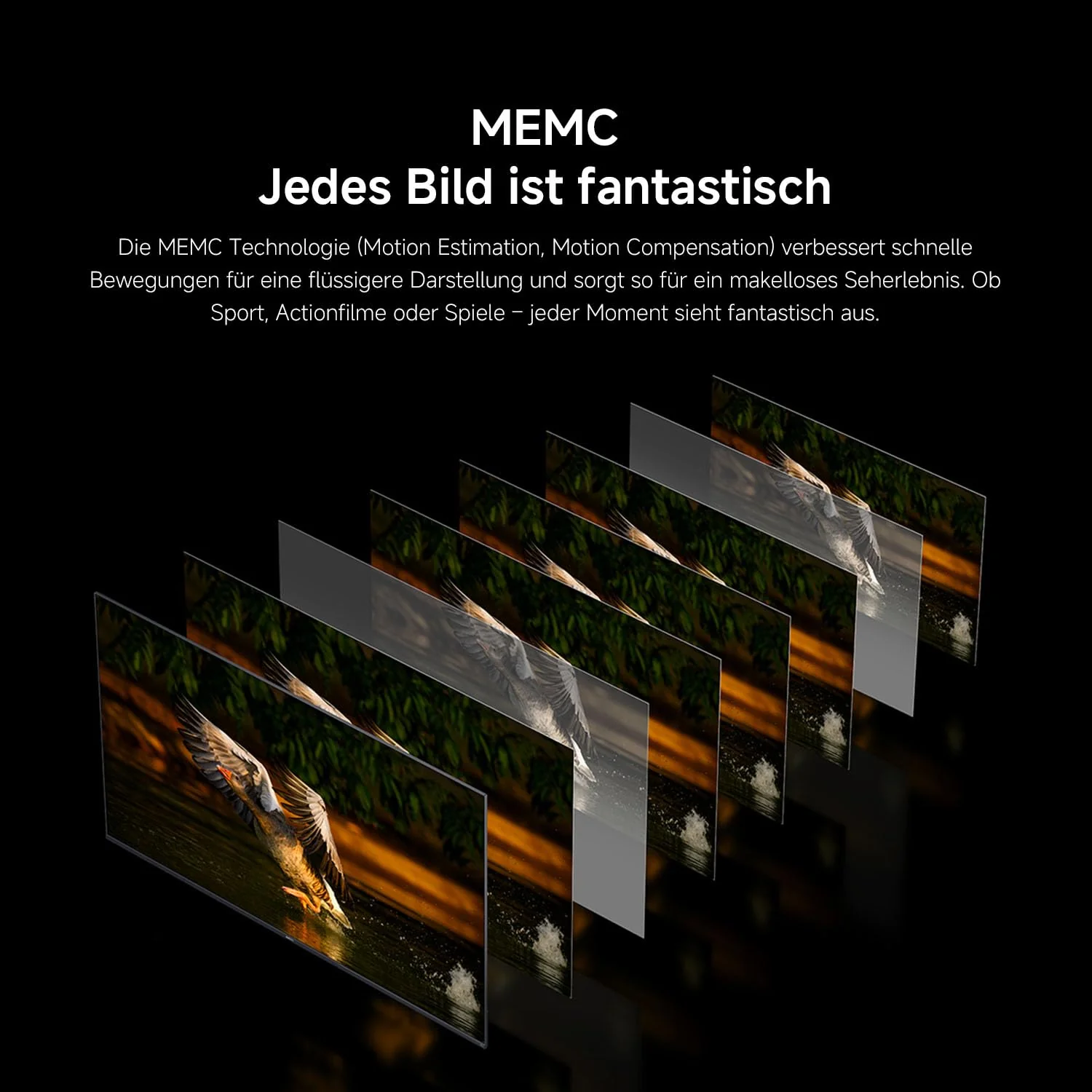 Vorschaubild 15