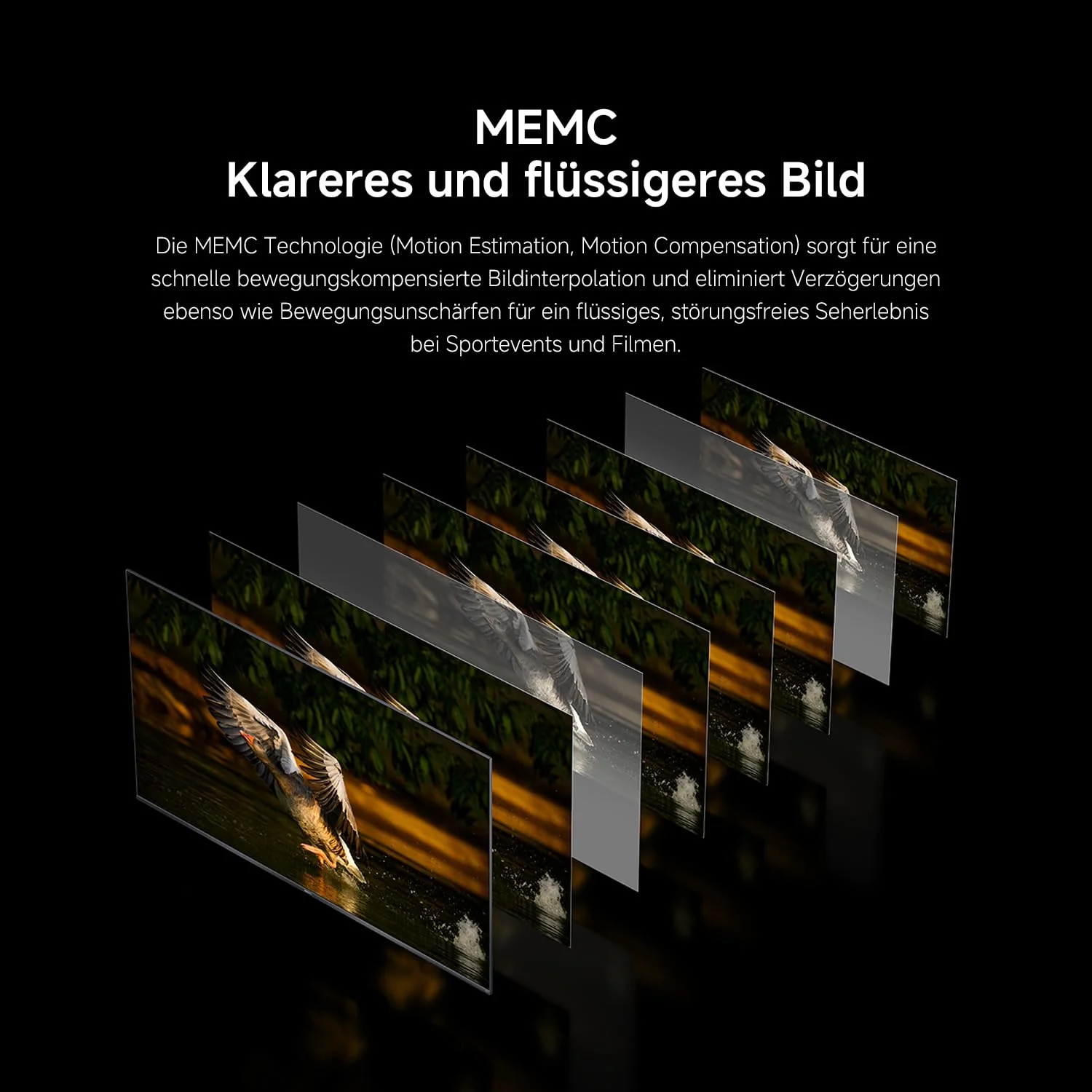 Vorschaubild 13