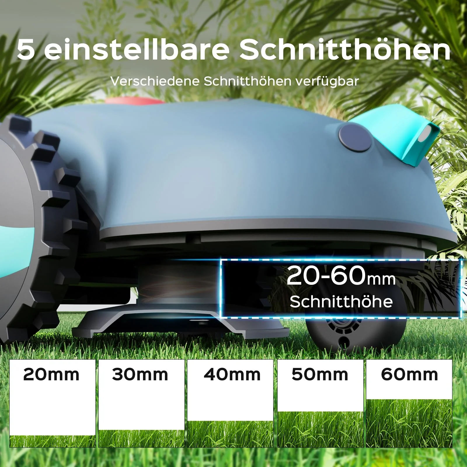 Vorschaubild 3