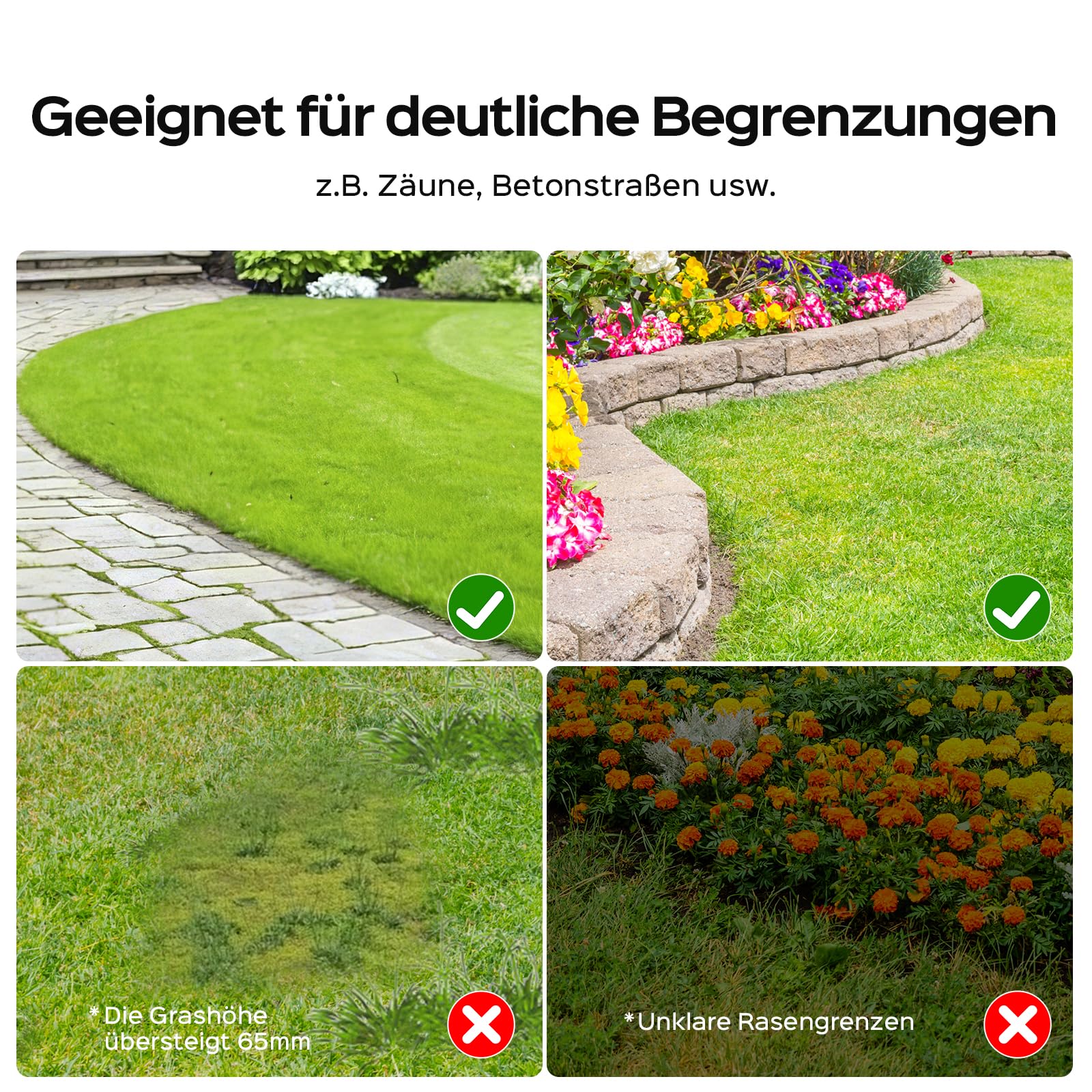 Vorschaubild 7